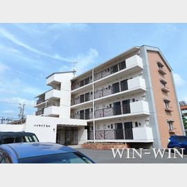 ハイライフ花中 4階 築38年3ヶ月の賃貸物件