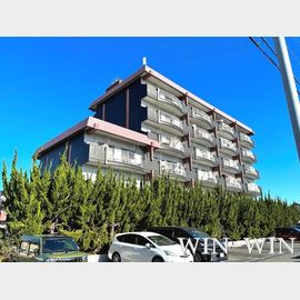 オリエンタルハイツ 5階 築45年4ヶ月の賃貸物件