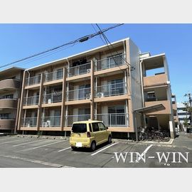 サンライフ堂坂 A棟 1階 築43年2ヶ月の賃貸物件