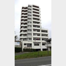 市役所前駅より徒歩11分 4階 築37年9ヶ月の賃貸物件