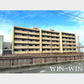 小池駅より徒歩13分 築36年9ヶ月 5階建の賃貸物件