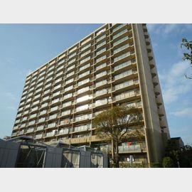 小池駅より徒歩20分 築35年4ヶ月 15階建の賃貸物件