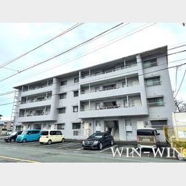 運動公園前駅より徒歩7分 4階 築37年9ヶ月の賃貸物件