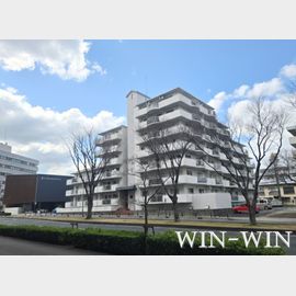 新川駅より徒歩9分 6階 築41年2ヶ月の賃貸物件