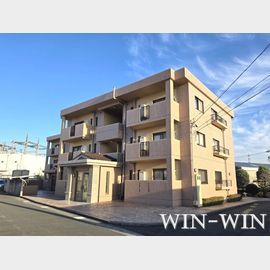 ネオパラドール 2階 築23年6ヶ月の賃貸物件