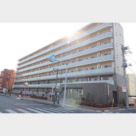 西川口駅より徒歩8分 1階 築1年の賃貸物件