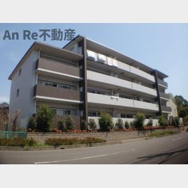 ドムス・ウィリデ 4階 築15年の賃貸物件