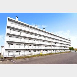 大楽毛駅より徒歩168分 築41年2ヶ月 5階建の賃貸物件