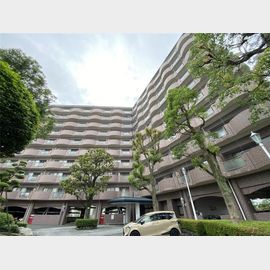 熊本駅より徒歩15分 7階 築34年5ヶ月の賃貸物件