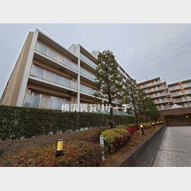 ピエス綱島の賃貸物件