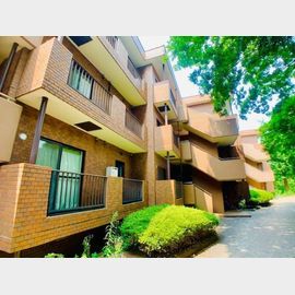 妙蓮寺駅より徒歩3分 2階 築41年11ヶ月の賃貸物件