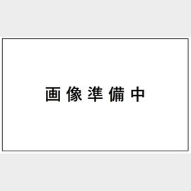 新子安駅より徒歩10分 新築 2階建の賃貸物件