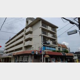 坪内マンション 3階 築48年9ヶ月の賃貸物件