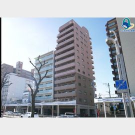 サン・ミズホビル 13階 築25年の賃貸物件