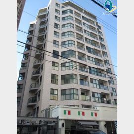 国際センター駅より徒歩4分 8階 築18年2ヶ月の賃貸物件