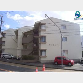 霞ヶ丘ハイツの賃貸物件