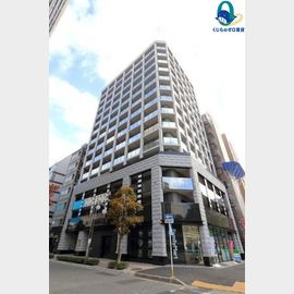 セイワパレス丸の内駅前の賃貸物件