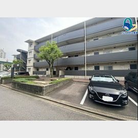 メゾン浪打 2階 築36年3ヶ月の賃貸物件