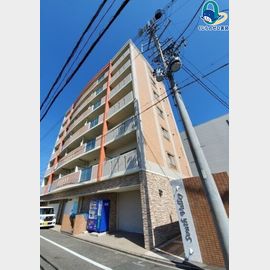 SouthValley 6階 築19年11ヶ月の賃貸物件