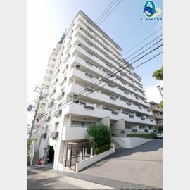 ライオンズマンション星ケ丘 5階 築49年5ヶ月の賃貸物件