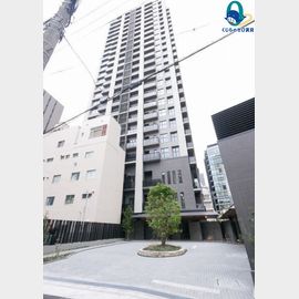 国際センター駅より徒歩4分 7階 新築の賃貸物件