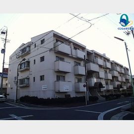 プランタンハイツ 1階 築40年の賃貸物件