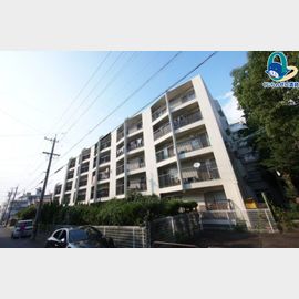 プラザフェニックス千鳥ヶ丘A棟 3階 築50年8ヶ月の賃貸物件