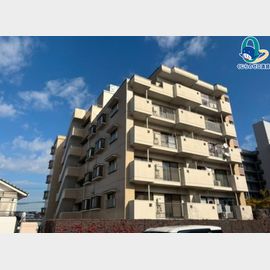 一社駅より徒歩13分 7階 築38年5ヶ月の賃貸物件