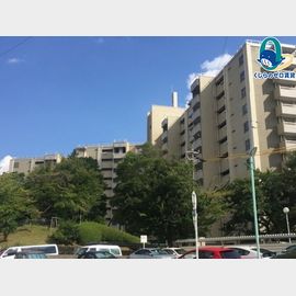 一社駅より徒歩6分 12階 築53年4ヶ月の賃貸物件