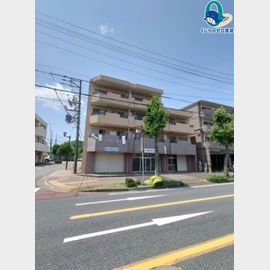 メゾン白鳥 2階 築38年11ヶ月の賃貸物件