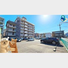 ローヤル白山 3階 築48年7ヶ月の賃貸物件