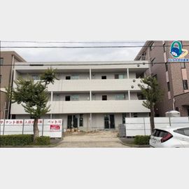 アニコムハイツIIの賃貸物件