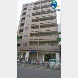 向陽ビル 5階 築54年7ヶ月の賃貸物件