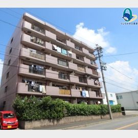 荒子川公園駅より徒歩19分 4階 築29年6ヶ月の賃貸物件