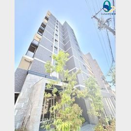 プレサンスレイズ茶屋ヶ坂の賃貸物件