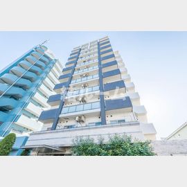 東武練馬駅より徒歩8分 11階 築17年8ヶ月の賃貸物件