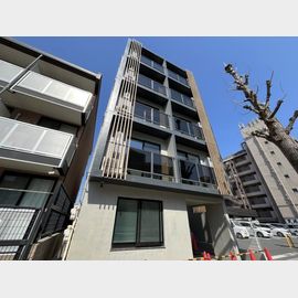武蔵関駅より徒歩12分 1階 新築の賃貸物件