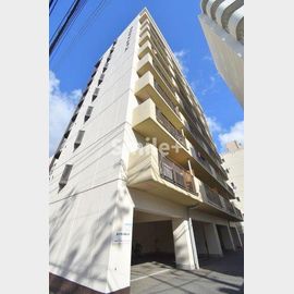 岡山駅より徒歩8分 7階 築46年5ヶ月の賃貸物件