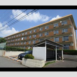 シャトー清城 2階 築39年8ヶ月の賃貸物件