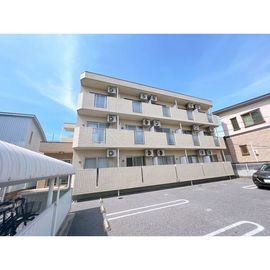 サンライフ向田の賃貸物件