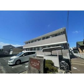 ピーヌス１の賃貸物件