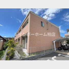 サンセットみずきの賃貸物件