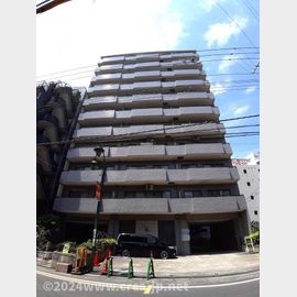 朝霞市仲町3DKスカイビュウ11朝霞 2階 築31年5ヶ月の賃貸物件