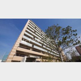 志木駅より徒歩19分 4階 築13年2ヶ月の賃貸物件