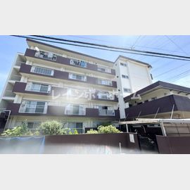 志木駅1K 2階 築58年の賃貸物件