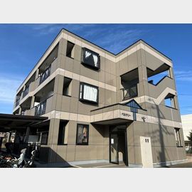 ベルツリーの賃貸物件