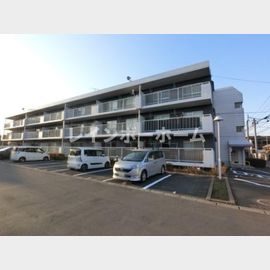 エルシティ・103 1階 築40年1ヶ月の賃貸物件