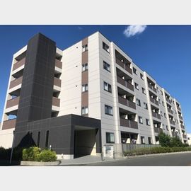 カシオペアの賃貸物件