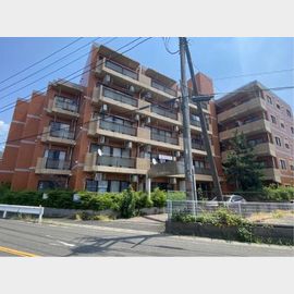 蓮田駅より徒歩9分 築31年6ヶ月 5階建の賃貸物件