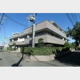 キャッスル島村 2階 築32年1ヶ月の賃貸物件